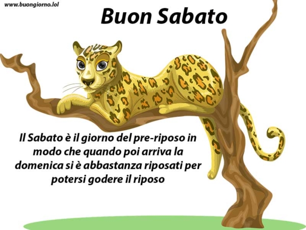 disegno di un ghepardo sopra un albero